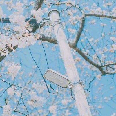 江南app下载手机版