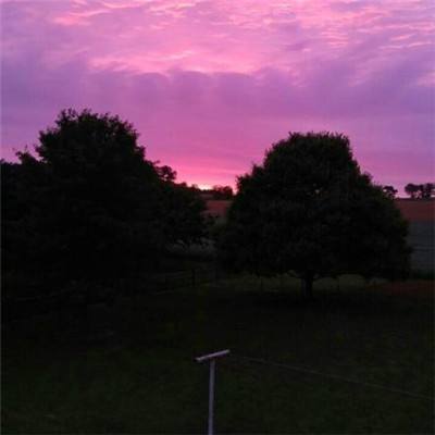 爱游戏全站APP下载手机app下载