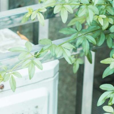 金年会手机app下载