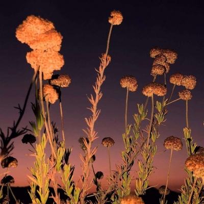 半岛·体育综合APP下载